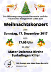 Poster und Flyer zum Konzert