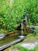 Impressionen vom Fischteich